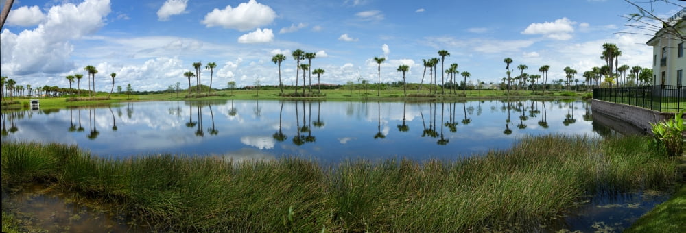 Reflection of trees in water Everglades National Park Lake Worth Palm Beach County Florida USA Canvas Art - Panoramic Images (27 x 9)