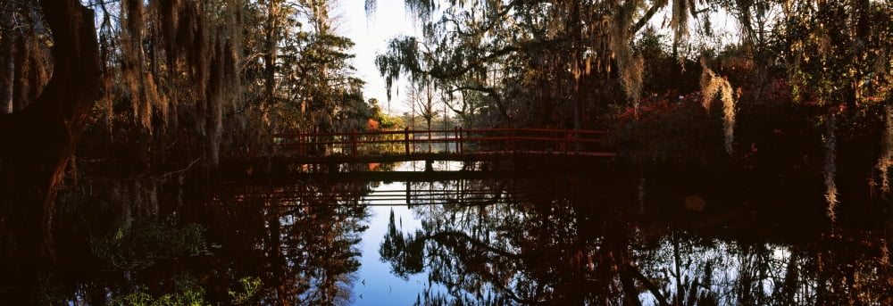 Reflection of trees in water Magnolia Plantation and Gardens Charleston South Carolina USA Canvas Art - Panoramic Images (27 x 9)