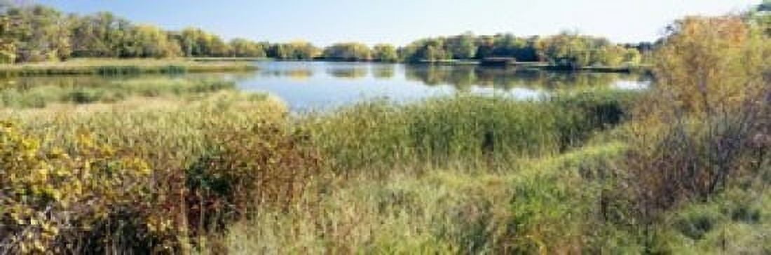 Reflection of trees in water Odana Hills Golf Course Madison Dane County Wisconsin USA Canvas Art - Panoramic Images (18 x 6)