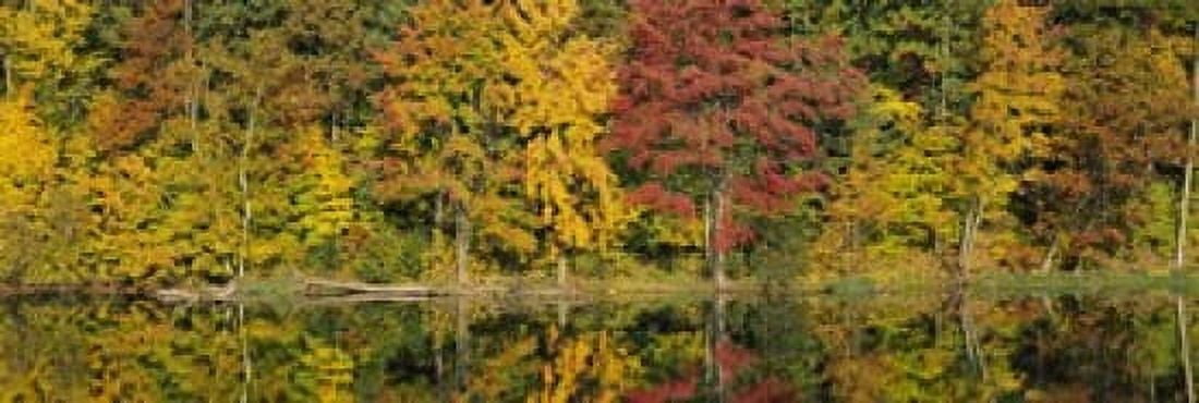 Reflection of trees in water Saratoga Springs New York City New York State USA Canvas Art - Panoramic Images (18 x 6)
