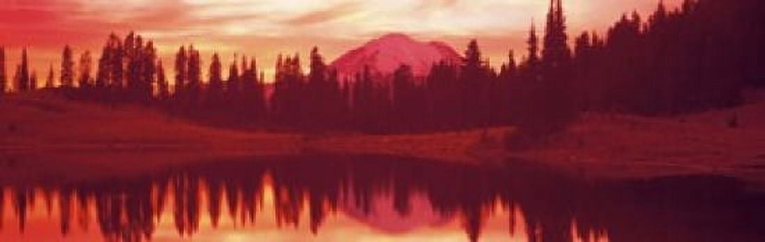 Reflection of trees in water Tipsoo Lake Mt Rainier Mt Rainier National Park Washington State USA Canvas Art - Panoramic Images (18 x 6)