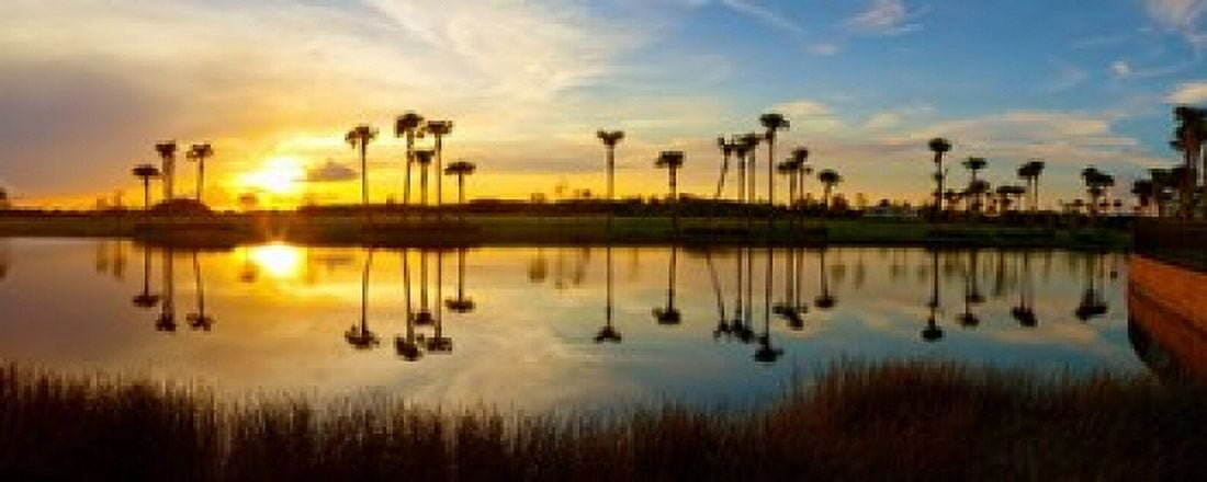 Reflection of trees in water at sunset Lake Worth Palm Beach County Florida USA Canvas Art - Panoramic Images (15 x 6)