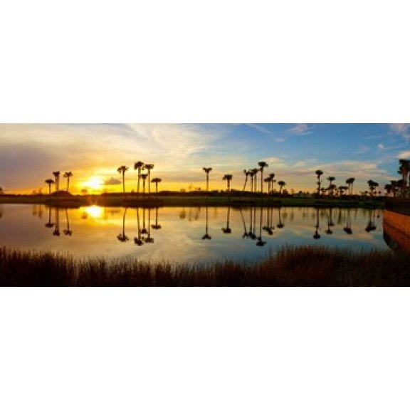Reflection of trees in water at sunset, Lake Worth, Palm Beach County, Florida, USA Poster Print (30 x 12)