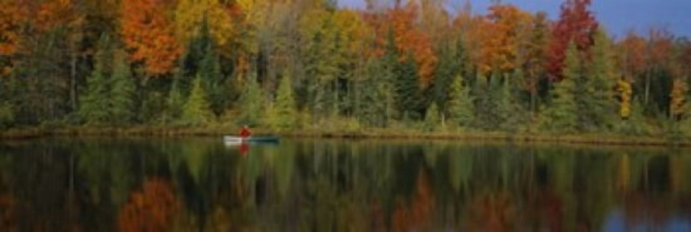 Reflection of trees in water near Antigo Wisconsin USA Canvas Art - Panoramic Images (36 x 12)