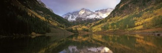 Reflection of trees on water Aspen Pitkin County Colorado USA Canvas Art - Panoramic Images (36 x 12)