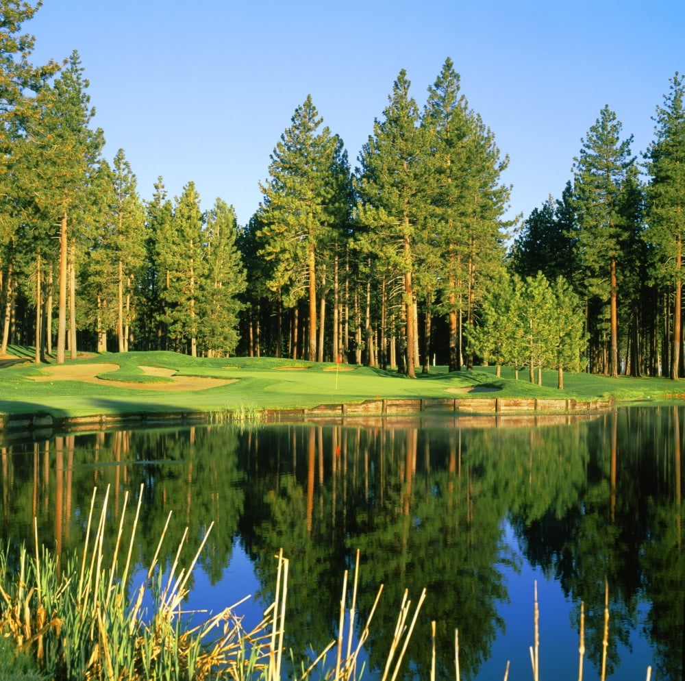 Reflection of trees on water Edgewood Tahoe Golf Course Stateline Douglas County Nevada USA Canvas Art - Panoramic Images (24 x 24)