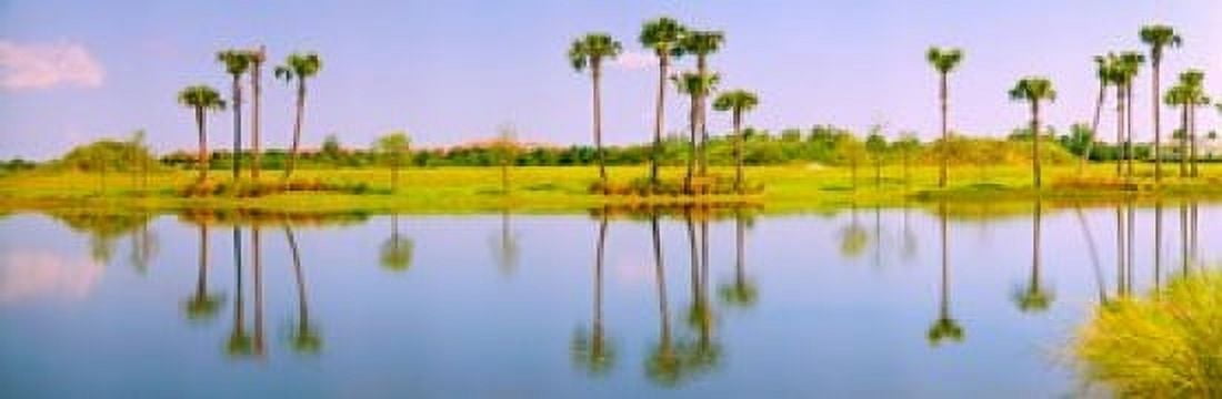 Reflection of trees on water Lake Worth Palm Beach County Florida USA Canvas Art - Panoramic Images (36 x 12)