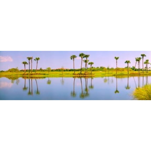 Reflection of trees on water, Lake Worth, Palm Beach County, Florida, USA Poster Print (36 x 12)
