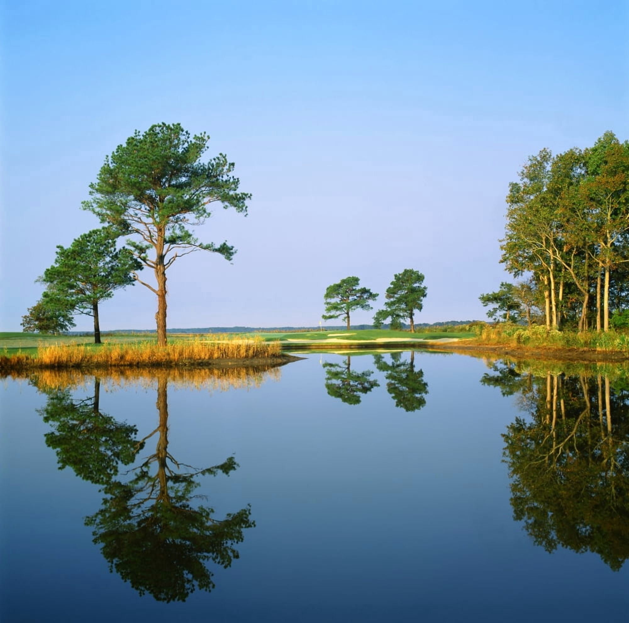 Reflection of trees on water Ocean City Golf and Yacht Club Berlin Worcester County Maryland USA Canvas Art - Panoramic Images (24 x 24)