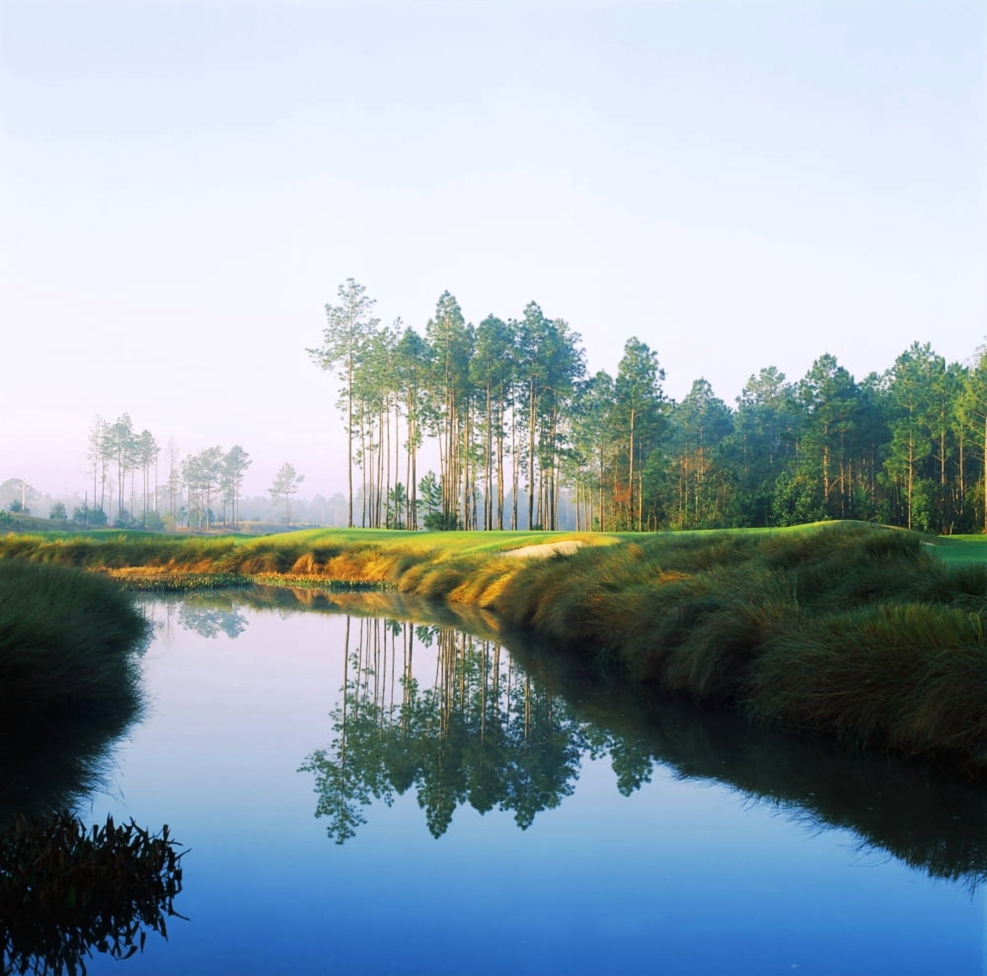 Reflection of trees on water in a golf course Slammer and Squire Golf Course St Augustine Florida USA Canvas Art - Panoramic Images (24 x 24)