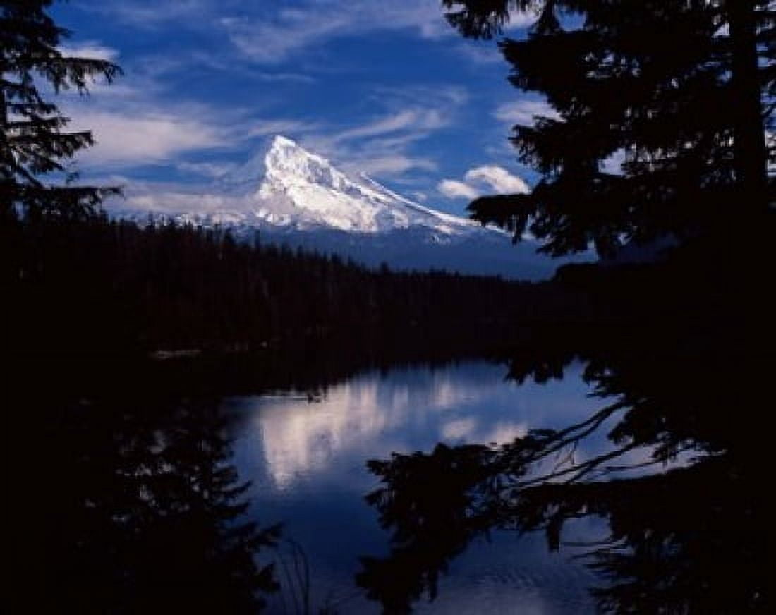 Reflection of a snow covered mountain in a lake Mt Hood Lost Lake Mt Hood National Forest Hood River County Oregon USA Canvas Art - Panoramic Images (36 x 24)