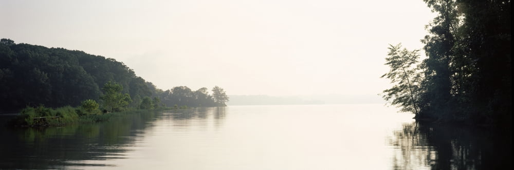 Reflection of trees in a lake at early morning Land Between the Lakes National Recreation Area Eddyville Kentucky USA Canvas Art - Panoramic Images (12 x 36)