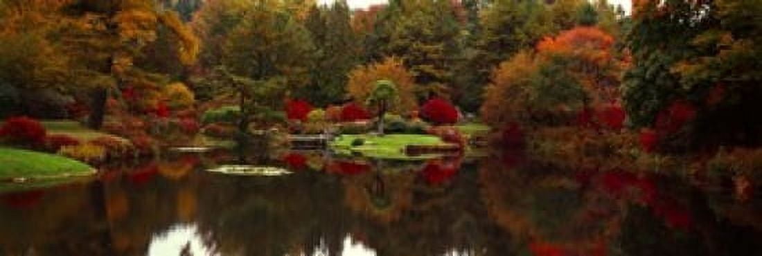 Reflection of trees in water Japanese Tea Garden Golden Gate Park Asian Art Museum San Francisco California USA Canvas Art - Panoramic Images (18 x 6)