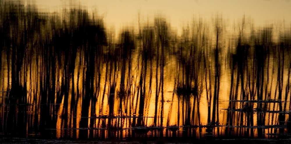 Reflections In Water Canvas Art - Richard Wear Design Pics (21 x 10)