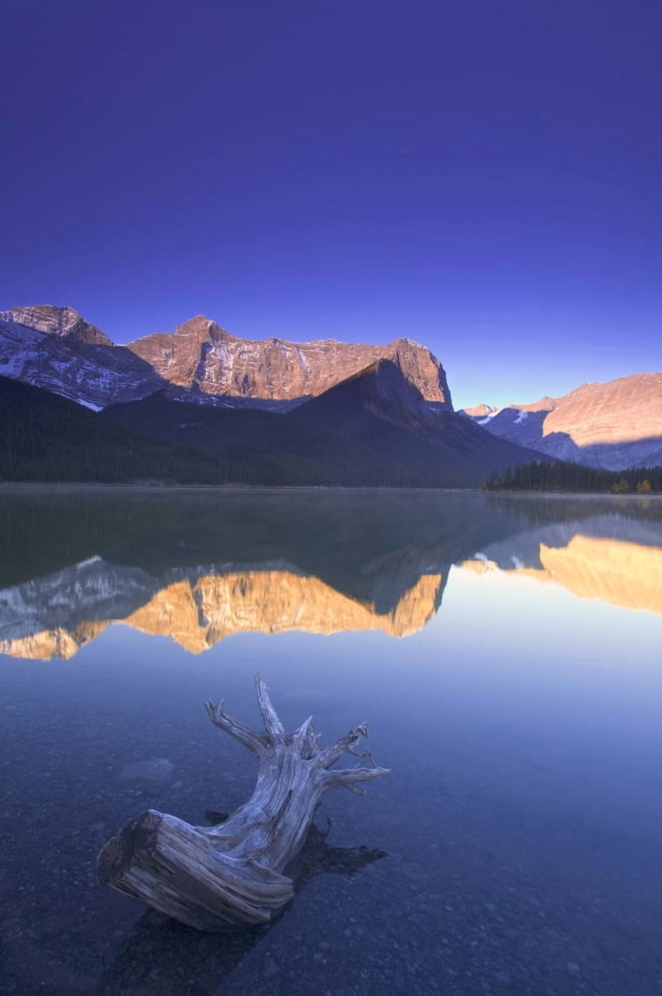 Reflections In Water Upper Kananaskis Lake Kananaskis Country Alberta Canada Canvas Art - Carson Ganci Design Pics (11 x 17)