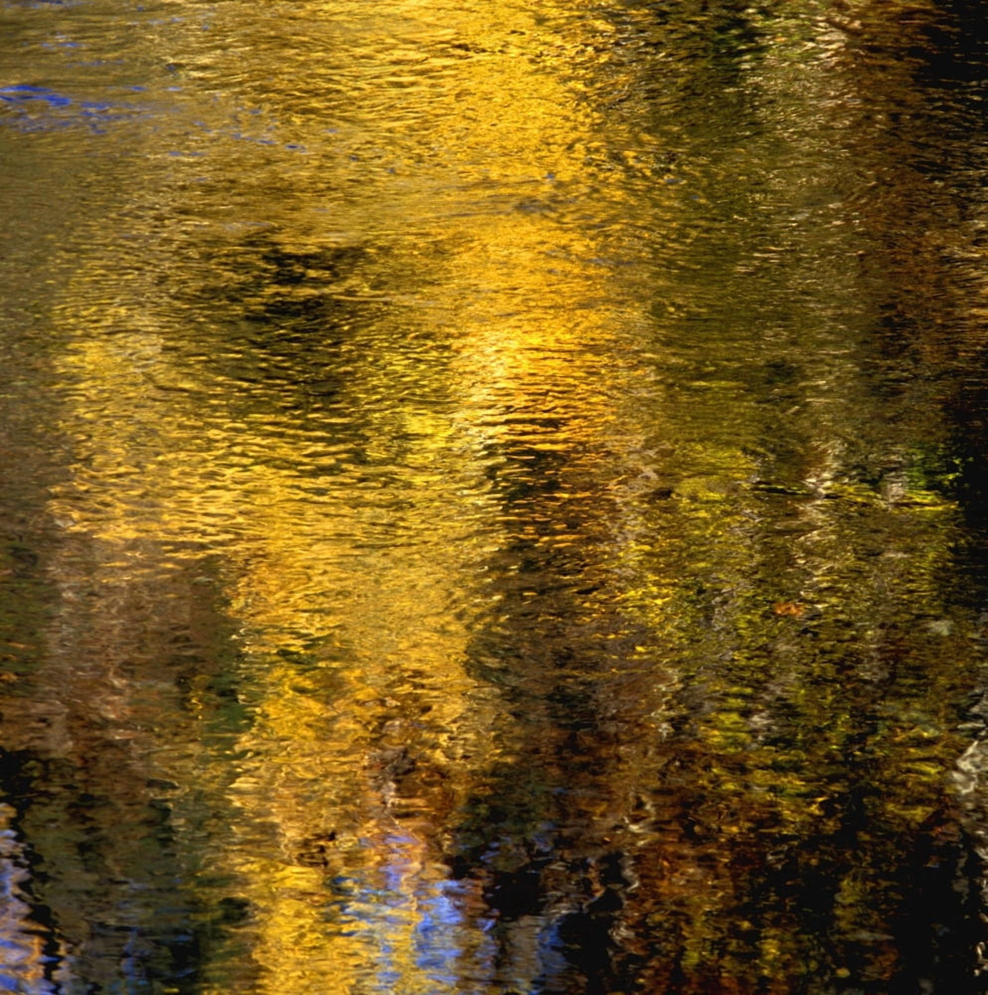 Reflections On The Water Canvas Art - David Chapman Design Pics (24 x 24)