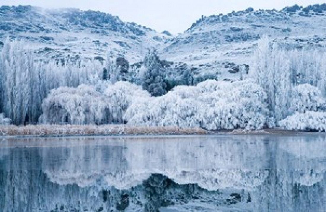 Reflections and Hoar Frost Butchers Dam near Alexandra Central Otago South Island New Zealand Canvas Art - David Wall DanitaDelimont (34 x 23)