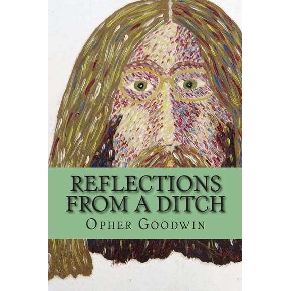 Reflections from a ditch (Paperback)