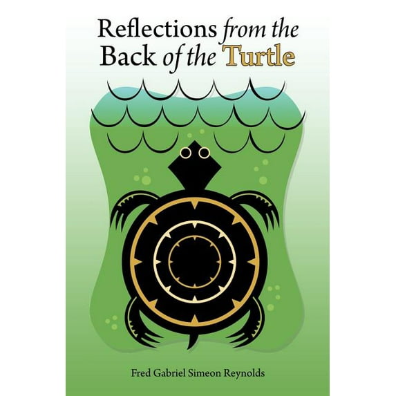 Reflections from the Back of the Turtle