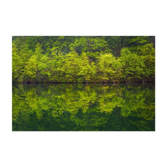 Reflections in Prettyboy - Maryland Photography Forest Nature Landscape Scenic Botanical Summer Unframed Wall Art Print 4 x 6 inches