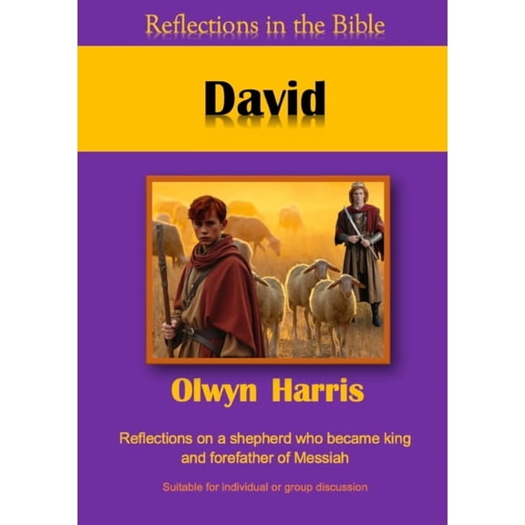 Reflections in the Bible David, Book 3, (Paperback)