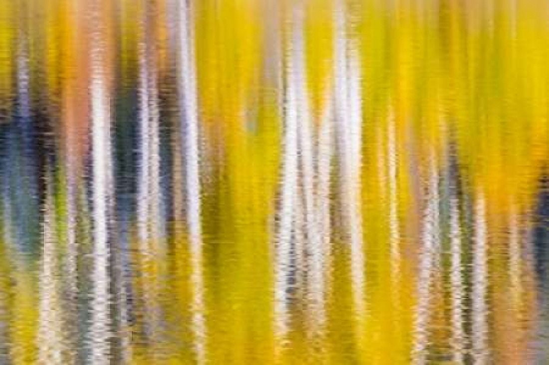 Reflections of Fall I Canvas Art - Kathy Mahan (12 x 18)