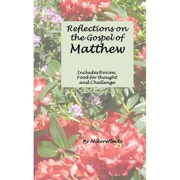 Reflections on Matthew's Gospel: Review, Food for Thought & Challenge, (Paperback)