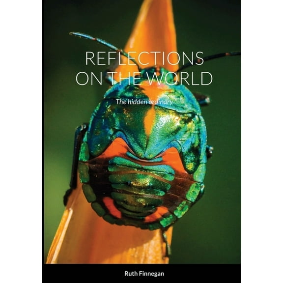 Reflections on the World: The hidden ordinary, (Paperback)