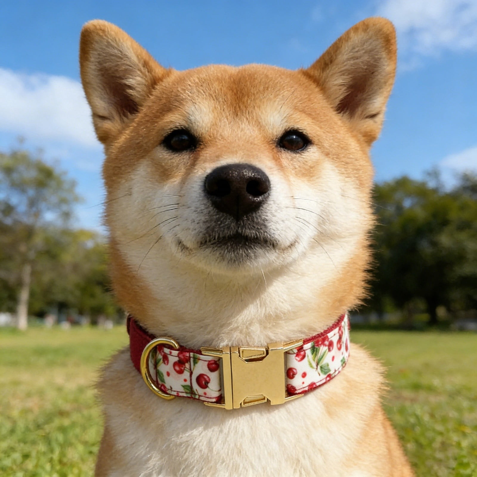 Reflective Adjustable Collar with Padded Handle - Walmart.com