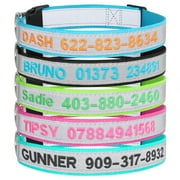 Reflective Adjustable Dog Collar with Custom Embroidery of Name and Phone Number for Anti-Loss.