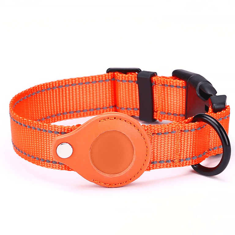 Dog collar with integrated tag shop