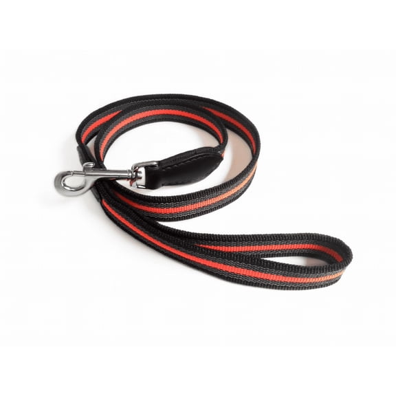 Alvalley Reflective Dog Leash - Durable, Heavy Duty Dog Leash with Nylon Webbing - Dog Training Leash for Small, Medium, Large and Extra Large Dogs, (Black, 4 ft Long with 19 mm Thickness)