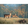 thumbnail image 1 of Reflective Art Inc Autumn Glory Jigsaw Puzzle, 1 of 2