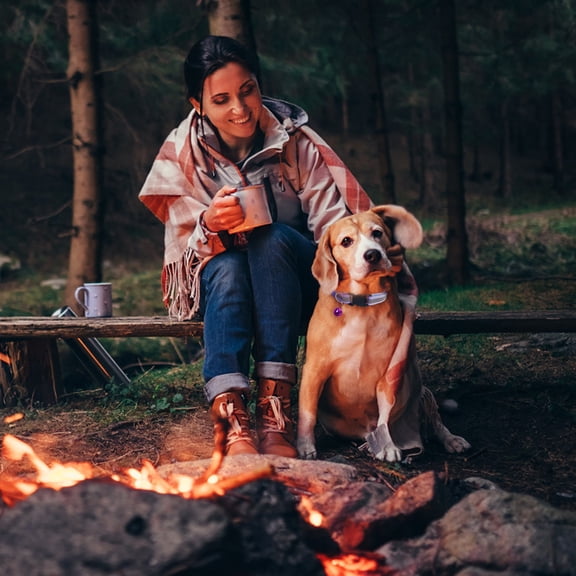 Reflective Cat Collar with Bell - Adjustable Nylon Safety Collar, 19-32cm, Quick-Release Buckle