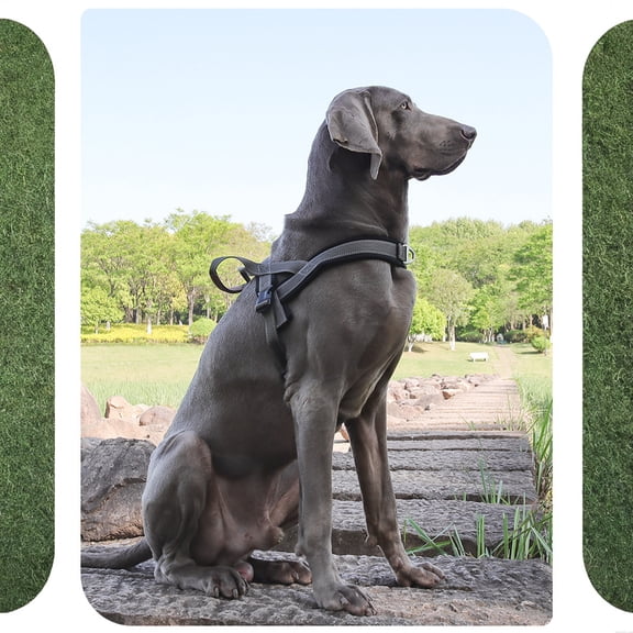 Reflective Dog Harness, Anti Pull Pet Vest, No Escape Dog Harness for Large Dogs, Heavy Duty Outdoor Harness