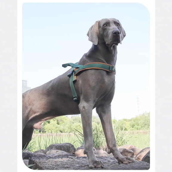 Reflective Dog Harness, Anti Pull Pet Vest, No Escape Dog Harness for Large Dogs, Heavy Duty Outdoor Harness