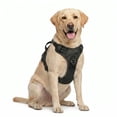 thumbnail image 1 of BUVUB Dog Harness - No Pull Adjustable Pet Vest with Reflective Strips Easy Control Handle and Breathable Mesh for Small Medium and Large Dogs - Small,Black, 1 of 7
