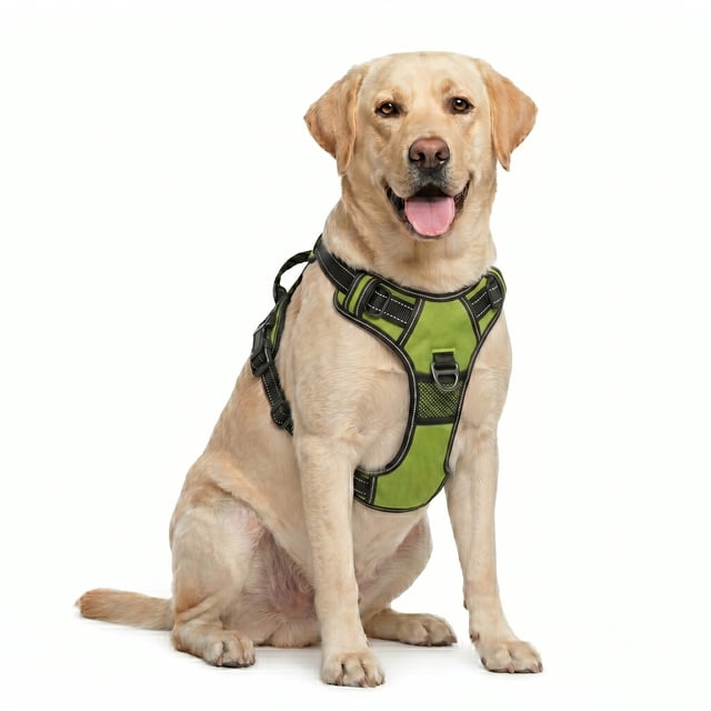 BUVUB Dog Harness - No Pull Adjustable Pet Vest with Reflective Strips Easy Control Handle and Breathable Mesh for Small Medium and Large Dogs - Small,Green