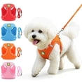 thumbnail image 1 of Reflective Dog Harness and Leash Set Breathable Mesh Pet Vest Harness with Adjustable Strap for Small Medium Dogs Cats, 1 of 9