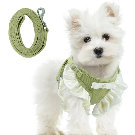 ROZKITCH Adjustable Dog Harness and Leash Set, Cute Dog Vest Harness, Soft Pet Harness for Small Dogs, Green