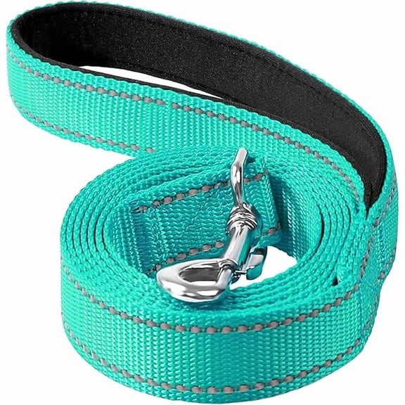Reflective Dog Leash 6ft Soft Padded Handle Nylon Lead for Small & Medium Dogs, Durable Walking Training Leash for Night Safety (Turquoise,3/4Inch Wide)
