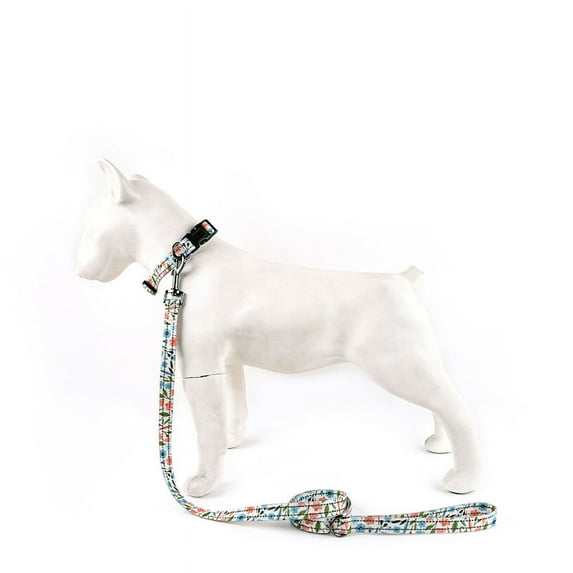 Reflective Dog Leash and Collar Set,Adjustable Reflective Dog Collar with unbreakaway Design,Available in Three Stylish Colors