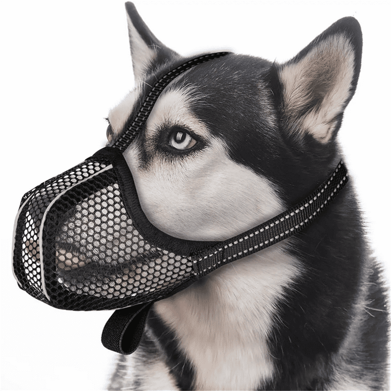 Muzzle for small dogs walmart hot sale