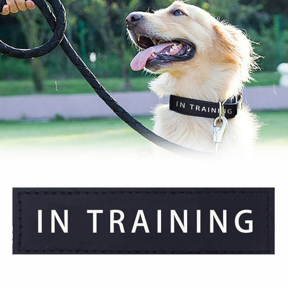 Reflective Dog Vest with Detachable Patch for Enhanced Lightweight PU Material Ideal for Dog Harness Durable Design for Outdoor Use