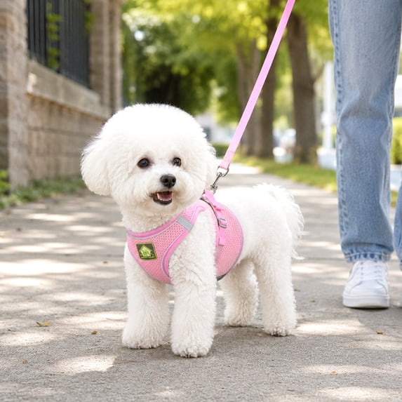 Reflective Escape Proof Dog Harness Breathable Mesh Soft Step in Pet Chest Strap for Night Safety Walking Pink XS