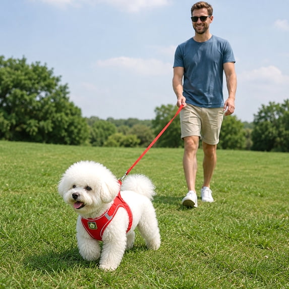 Reflective Escape Proof Dog Harness Breathable Mesh Soft Step in Pet Chest Strap for Night Safety Walking Red XL
