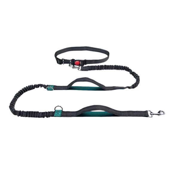 Reflective Extendable Dog Leash for Outdoor Running and Pet Adventures
