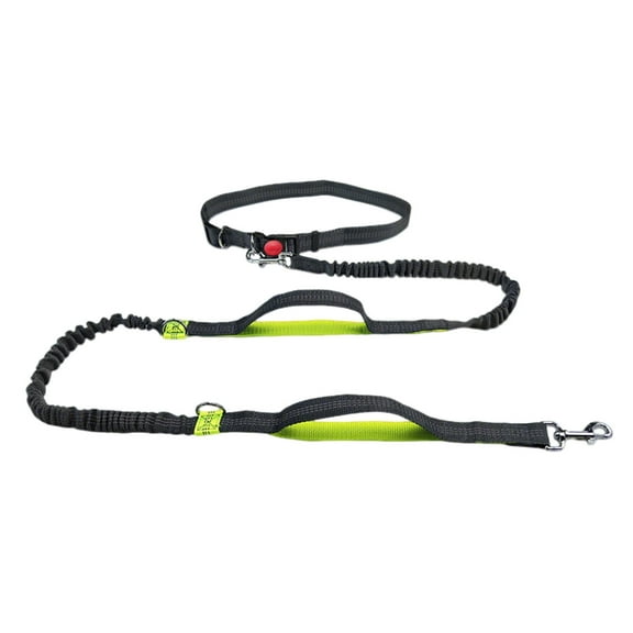 Reflective Handle Bungee Dog Leash for Outdoor Running Walking and Hiking with Adjustable Belt