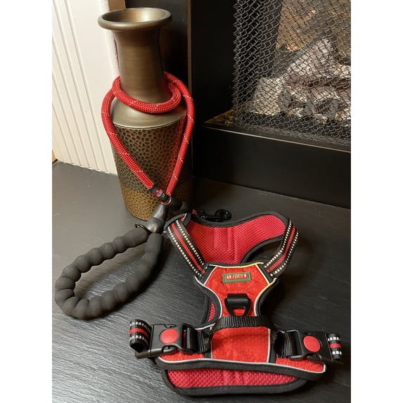 Reflective Harness