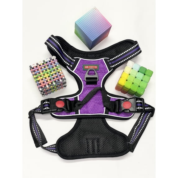 Reflective Harness